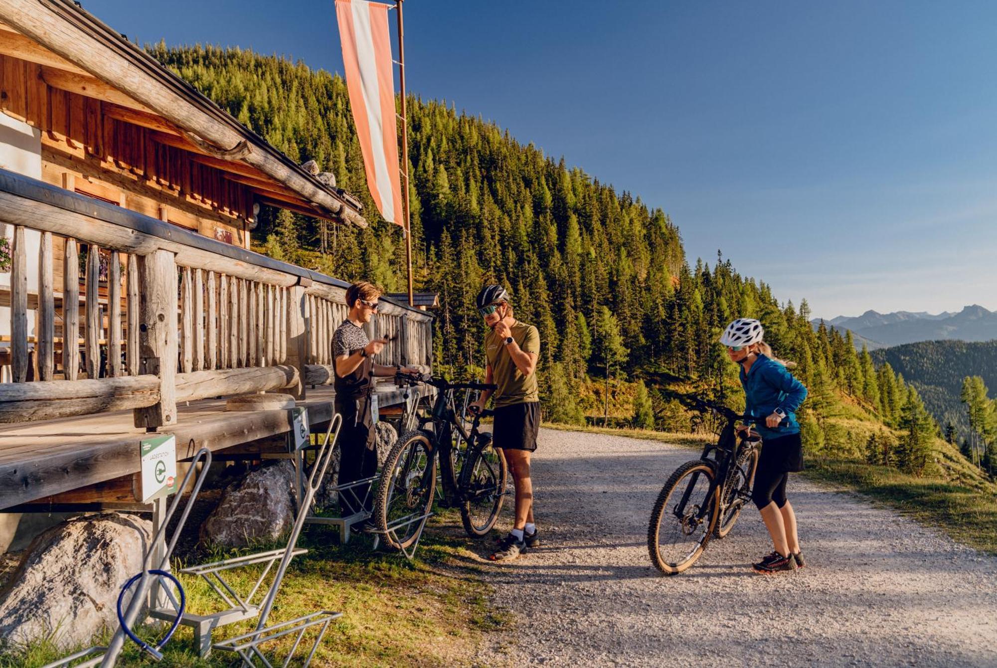 Brandhof - Chalet Am Berg Ramsau am Dachstein Esterno foto